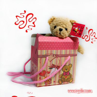 Plush Teddy Bear with Gift Box